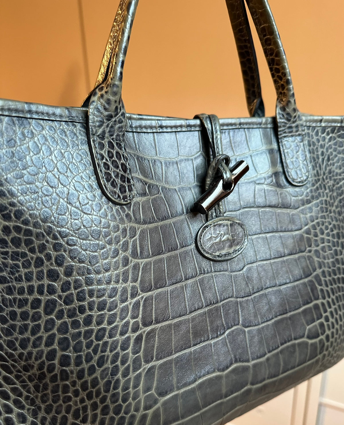 Sac Longchamp Roseau - Taupe Olive/Kaki gris taille M