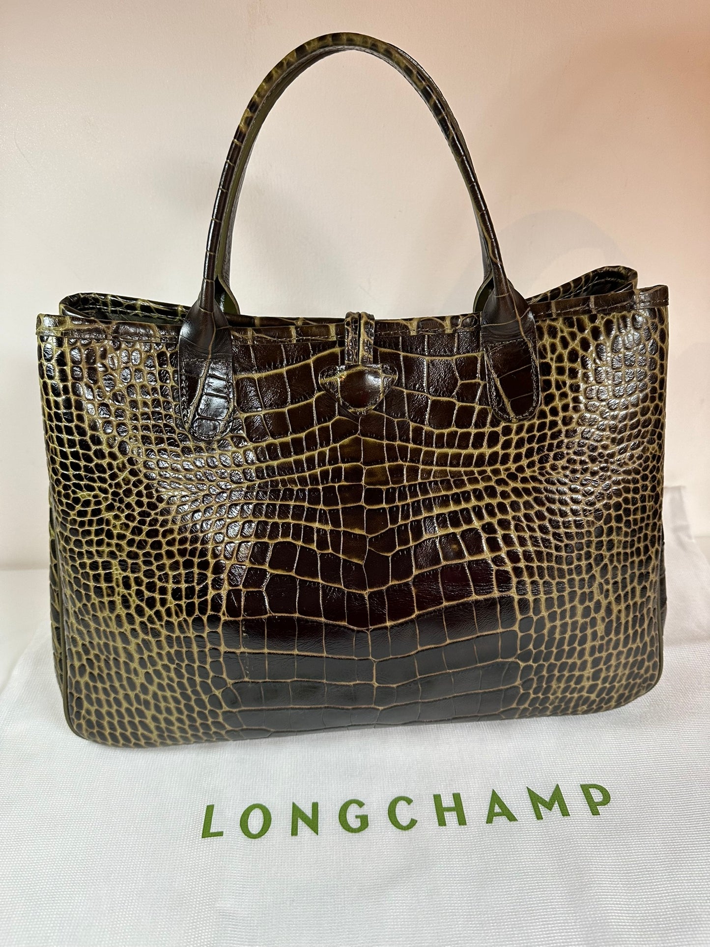 Sac Longchamp Roseau - Cuir Marron foncé & Kaki.