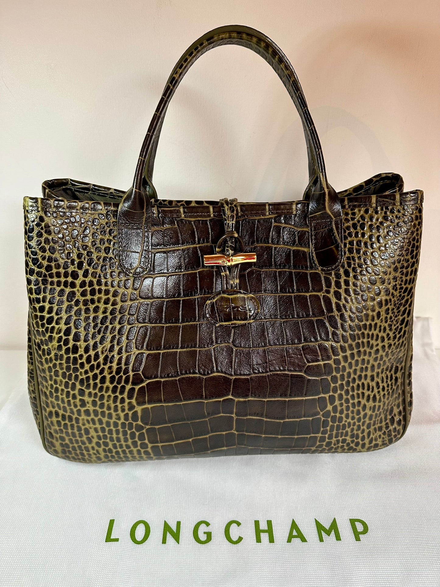 Sac Longchamp Roseau - Cuir Marron foncé & Kaki.