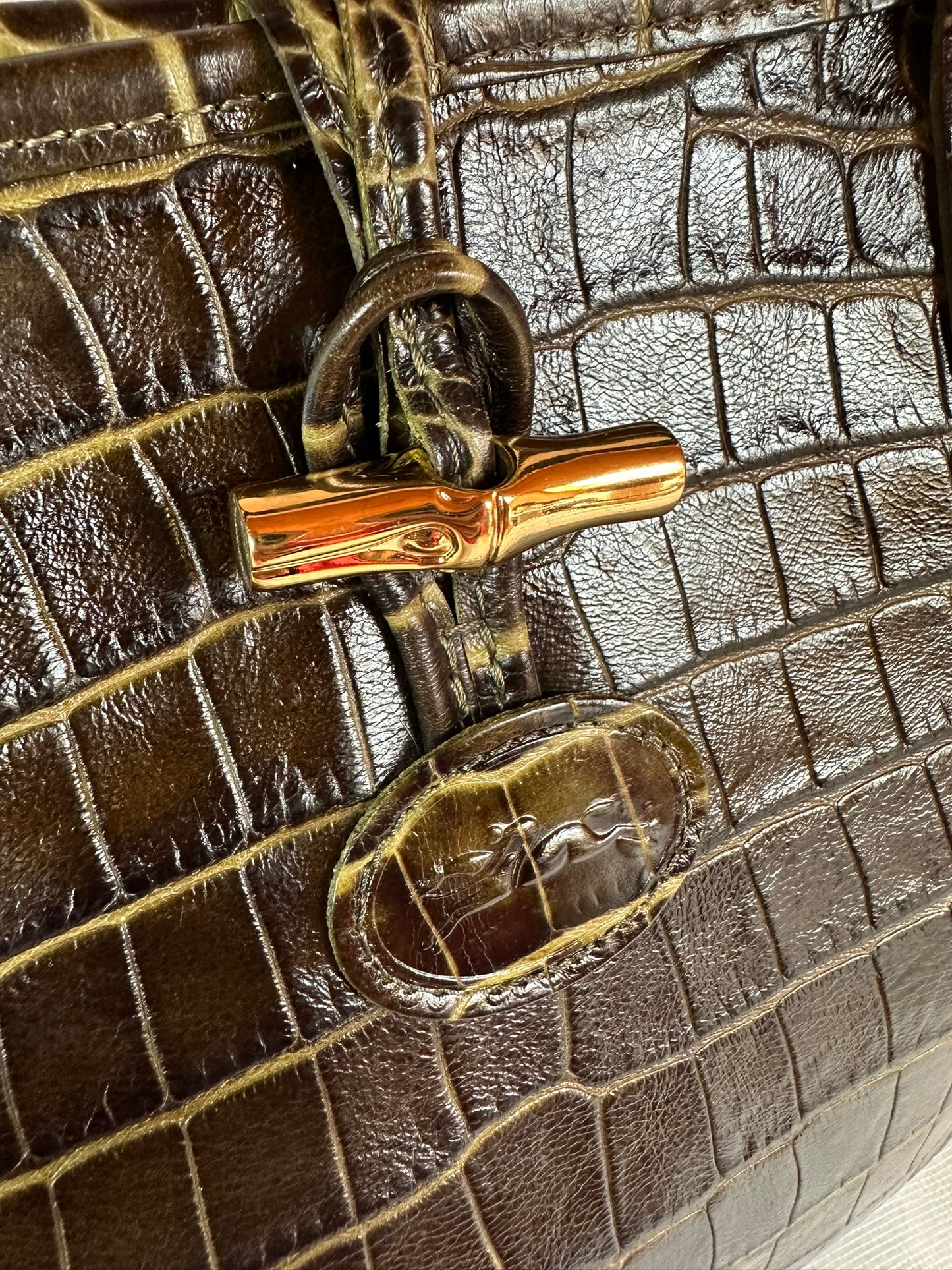 Sac Longchamp Roseau - Cuir Marron foncé & Kaki.