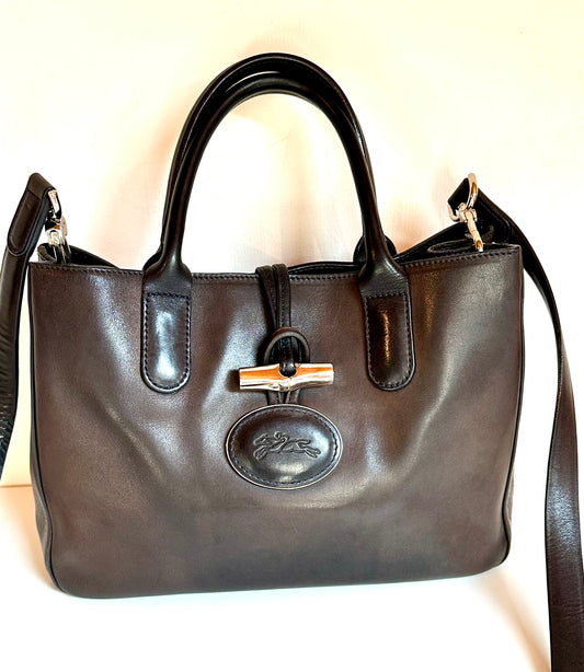 Rare Sac Longchamp Roseau Héritage – Bicolore.