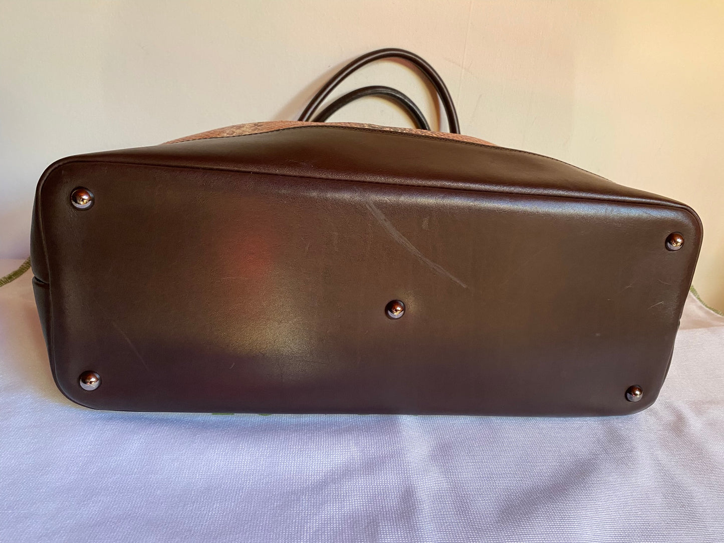 Longchamp Tragetasche – Sonderedition Python
